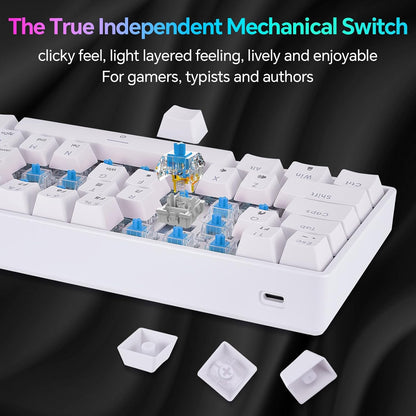 Mechanical 60% Keyboard RGB 1680M Color Backlit Compact Mini 61 Key Blue Switch Portable Keypad Compatible with Windows iMac Laptop PC Computer Office Gamer(White) - CHONCHOW